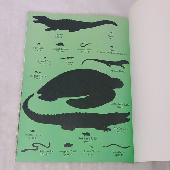 Wheres That Reptile Scholastic Hide & Seek Science PB Barbara Brenner 1993 - Picture 6 of 8